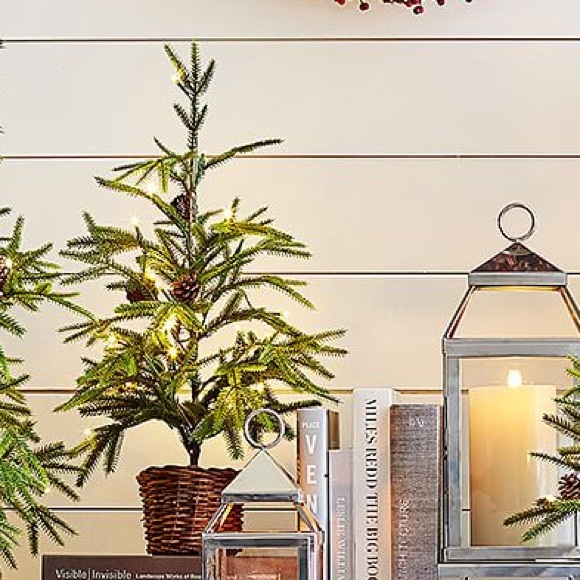 Pottery Barn Accents Pottery Barn Prelit Medium Faux Pine Tree In